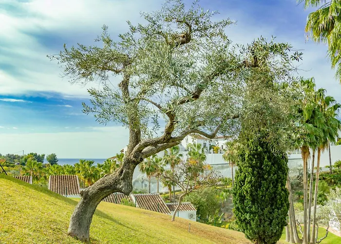 Tetuan 11 Oasis Apartamento