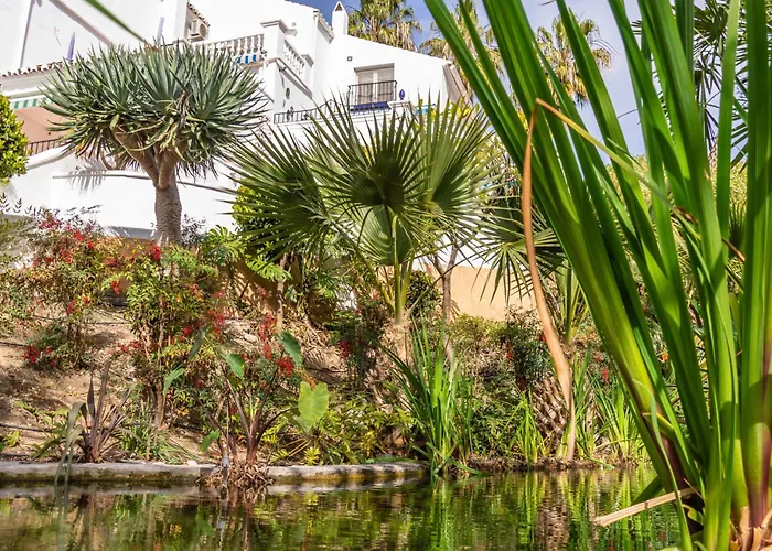 Apartment Tetuan 11 Oasis *